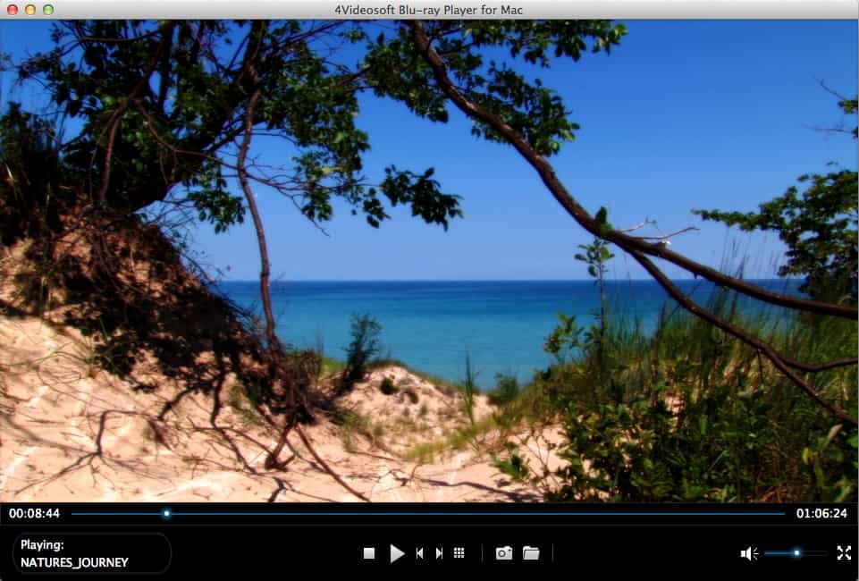 Screenshot of 4Videosoft Blu-ray Player for Mac 6.1.20