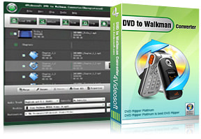DVD to Walkman Converter Purchase