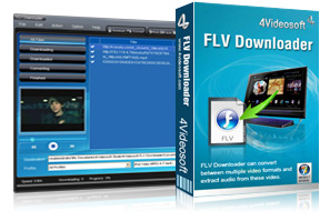 FLV Downloader Purchase
