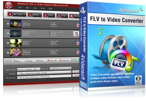 FLV to Video Converter Purchase