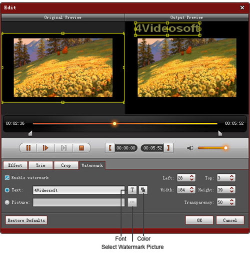 Watermark video