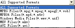 input format