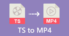 TS to MP4