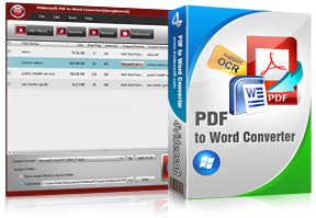 PDF to Word Converter Purchase