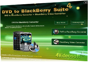 DVD to BlackBerry Suite Screen
