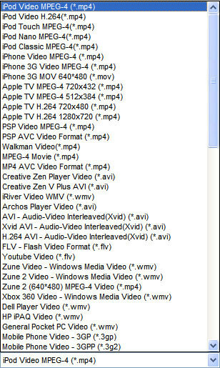 output formats