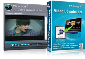 Video Downloader Purchase
