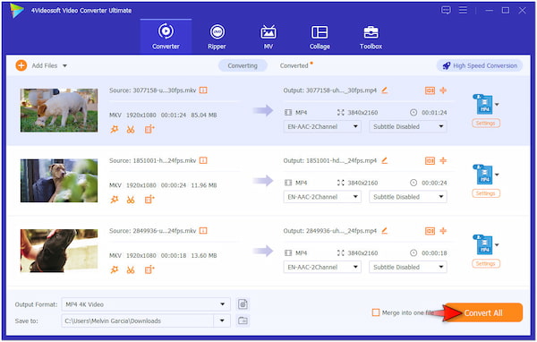 Begin Conversion Process