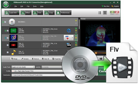 Convert DVD to FLV