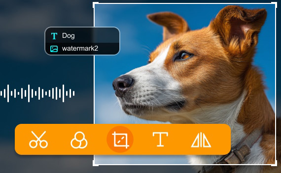 Advanced Video Editing