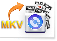 Convert MKV to Audio Free