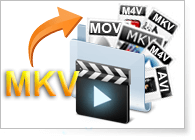 Convert MKV to MP4