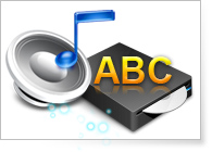 Add Personalized Audio Track and Subtitle