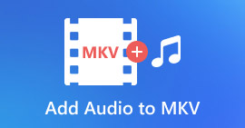 Add Audio to MKV