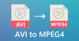 AVI en MPEG4