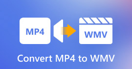 Convert Video to WMV