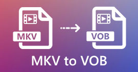 MKV到VOB