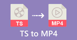 TS til MP4