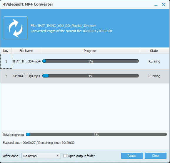 Conversion Process