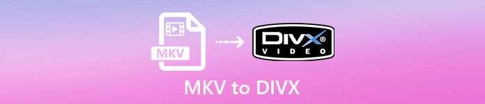 MKV到DIVX